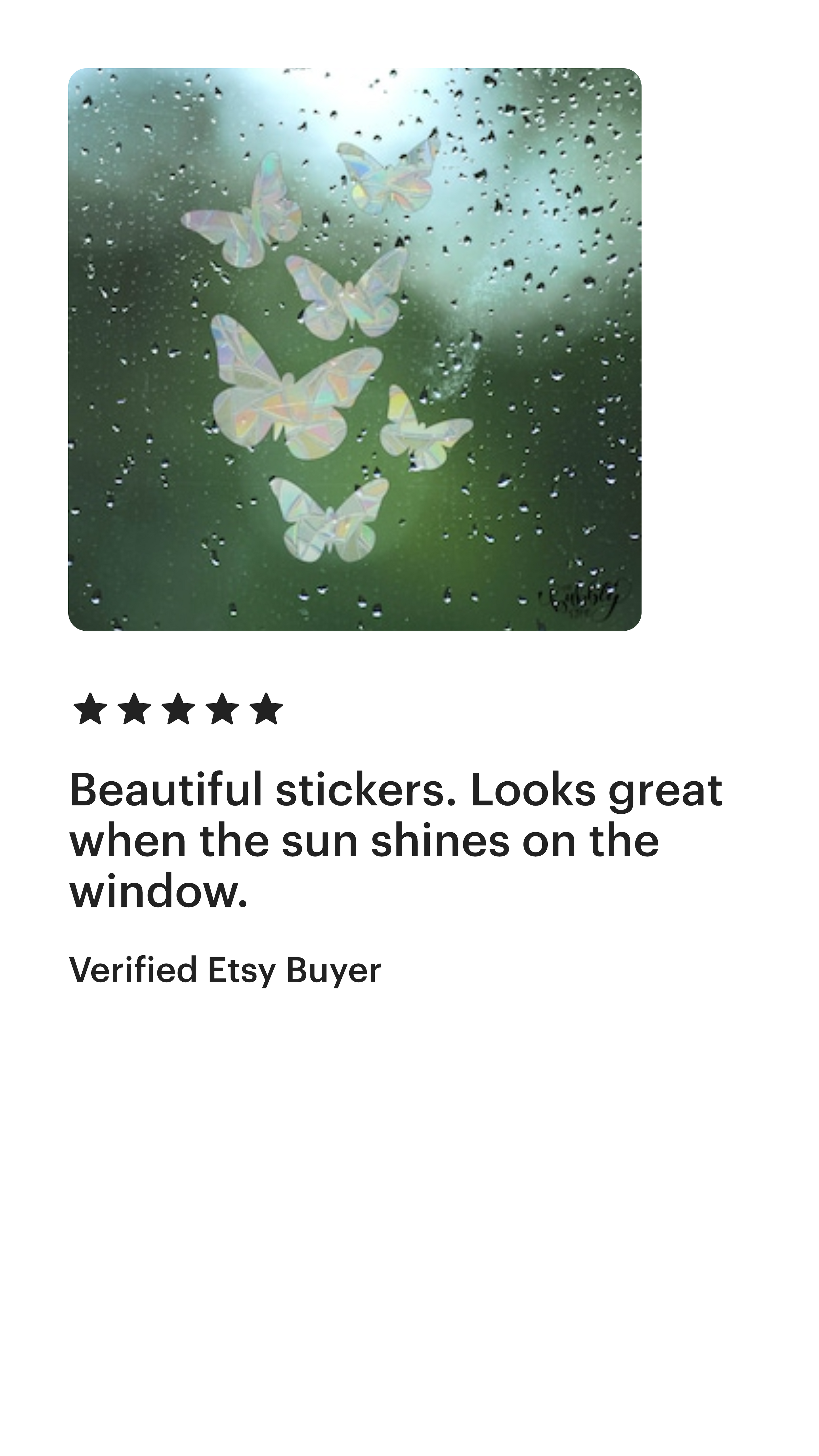 The Bubbly Type - Sun Catcher 5 Star Review 