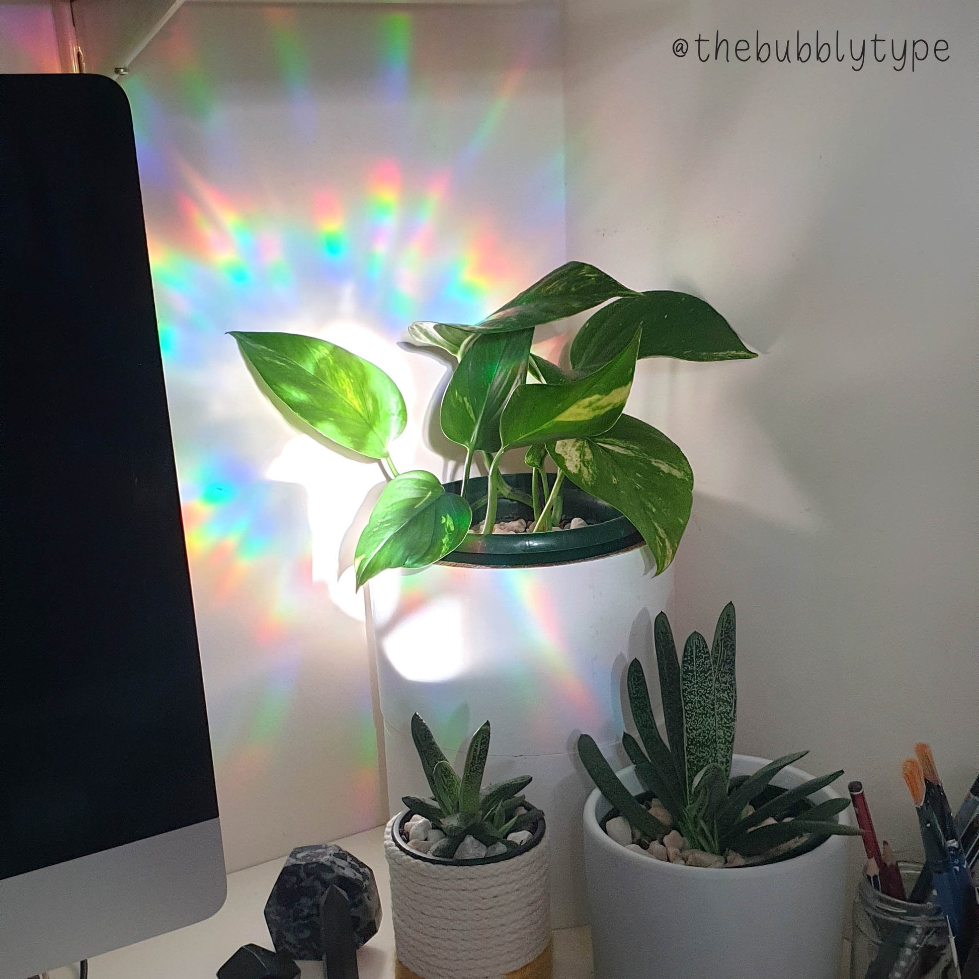 Rainbow Making Sun Catcher Window Stickers, made in Australia. Rainbow light on a wall, looks amazing next to your plants. Great decoration for your house. Perfect gift for kids and adults.