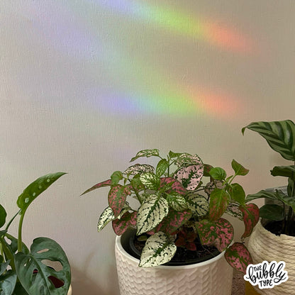 You can't get Rainbows without the Rain - Sun Catcher